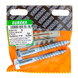 3CA11 - Coach Screw & Plug